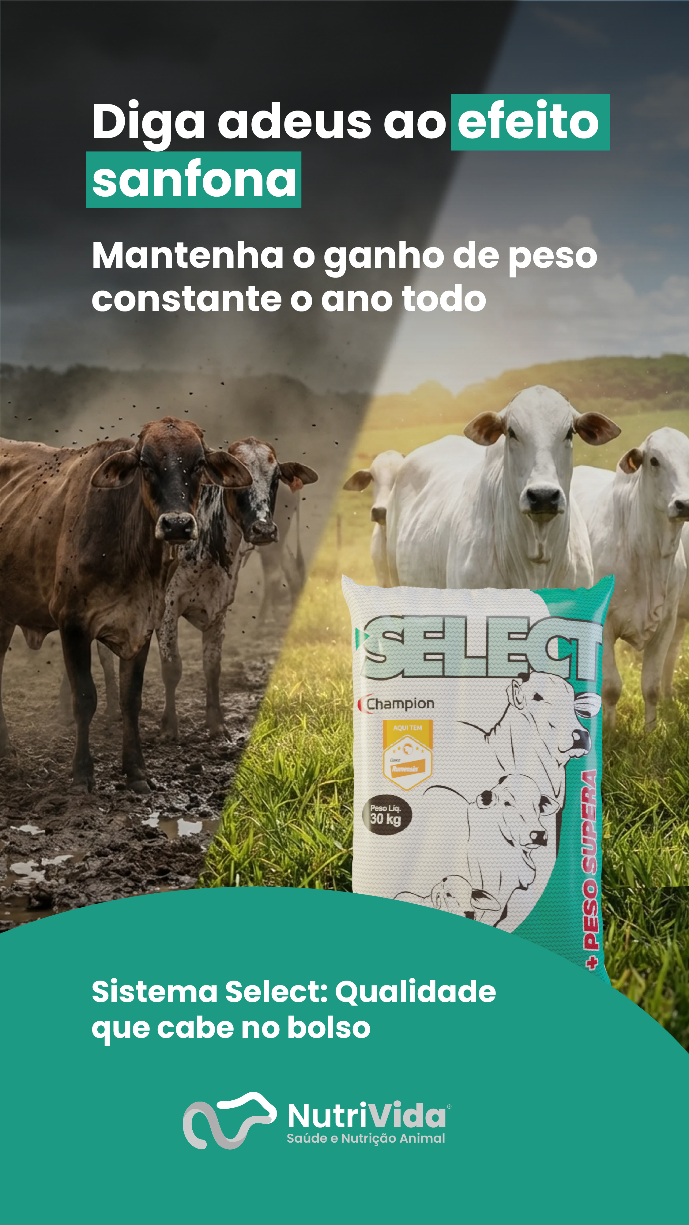 Story Select Supera 01