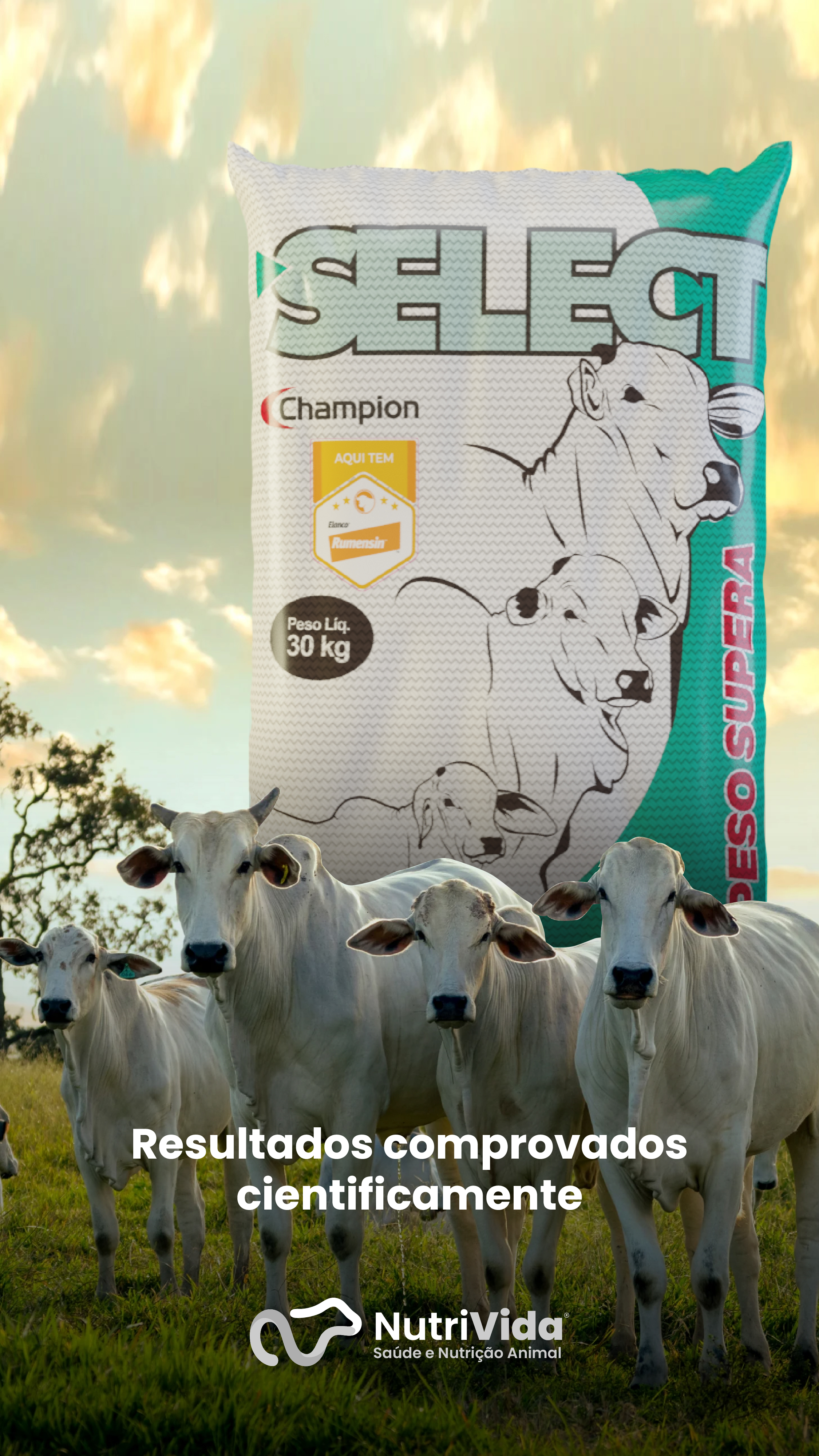 Story Select Supera 03