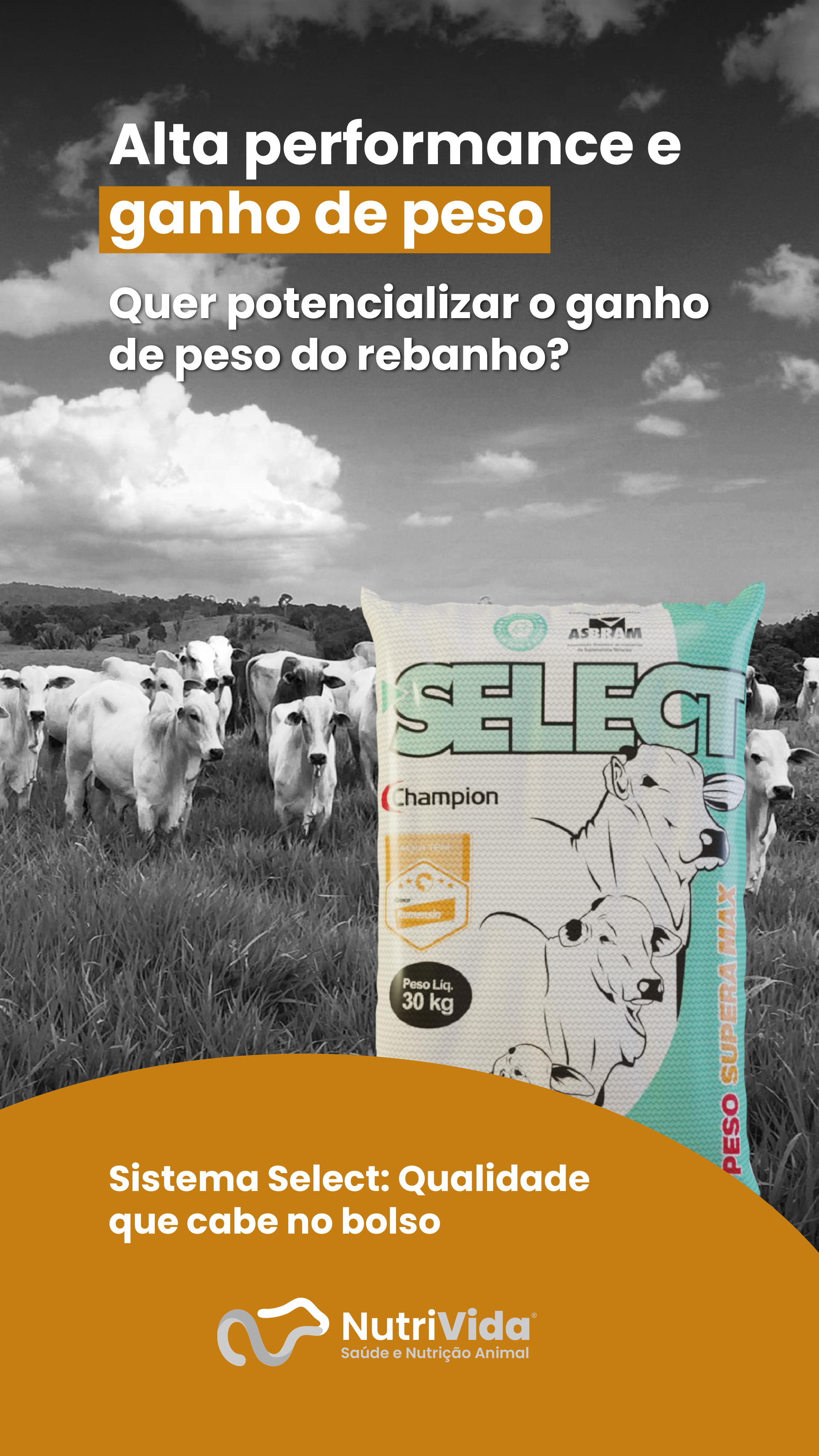 Story Select Supera Max 01